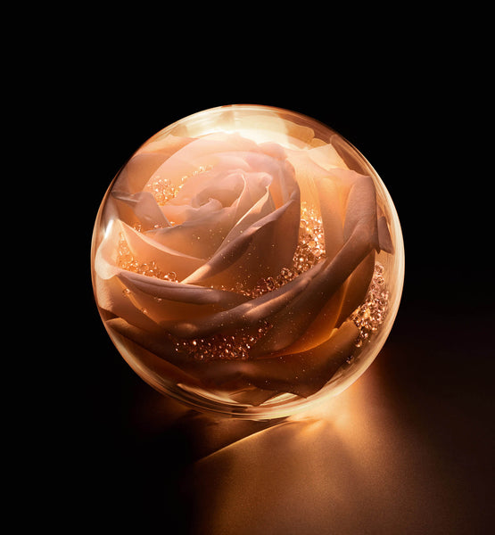 DIOR PRESTIGE LA MICRO-HUILE DE ROSE ACTIVATED SERUM
